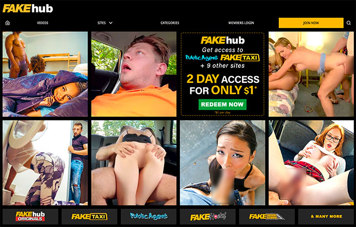 Fakehub HD Porn