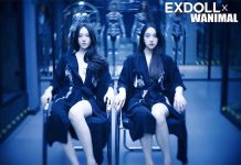 DS Doll Exdoll Clone Jie