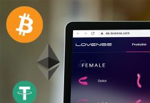 Zahlung mit Kryptowährung bei Lovense