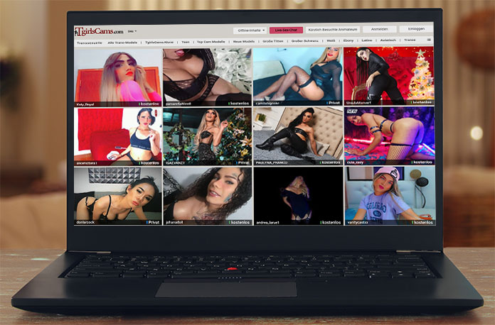 Laptop mit Trans Cam und Chat Seite